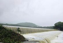 मुसळधार पावसाने पाषाण तलाव तुडुंब; जलपर्णीची समस्या मात्र कायम
